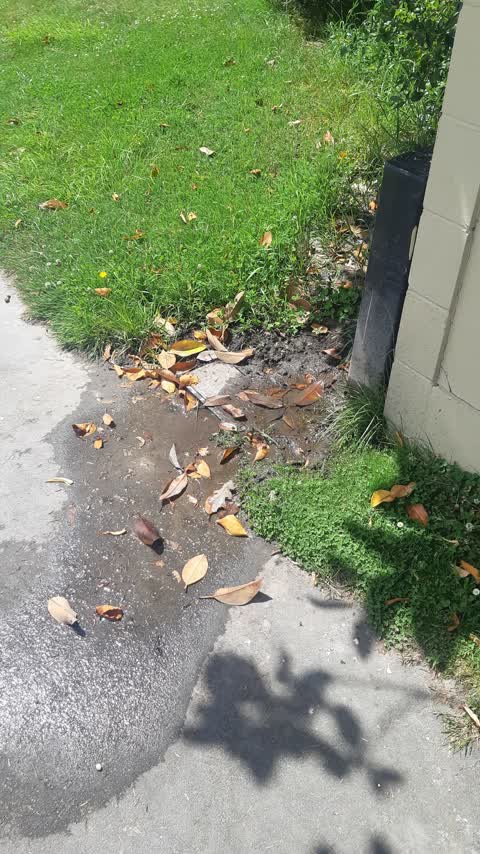 Water Leak, a report photo