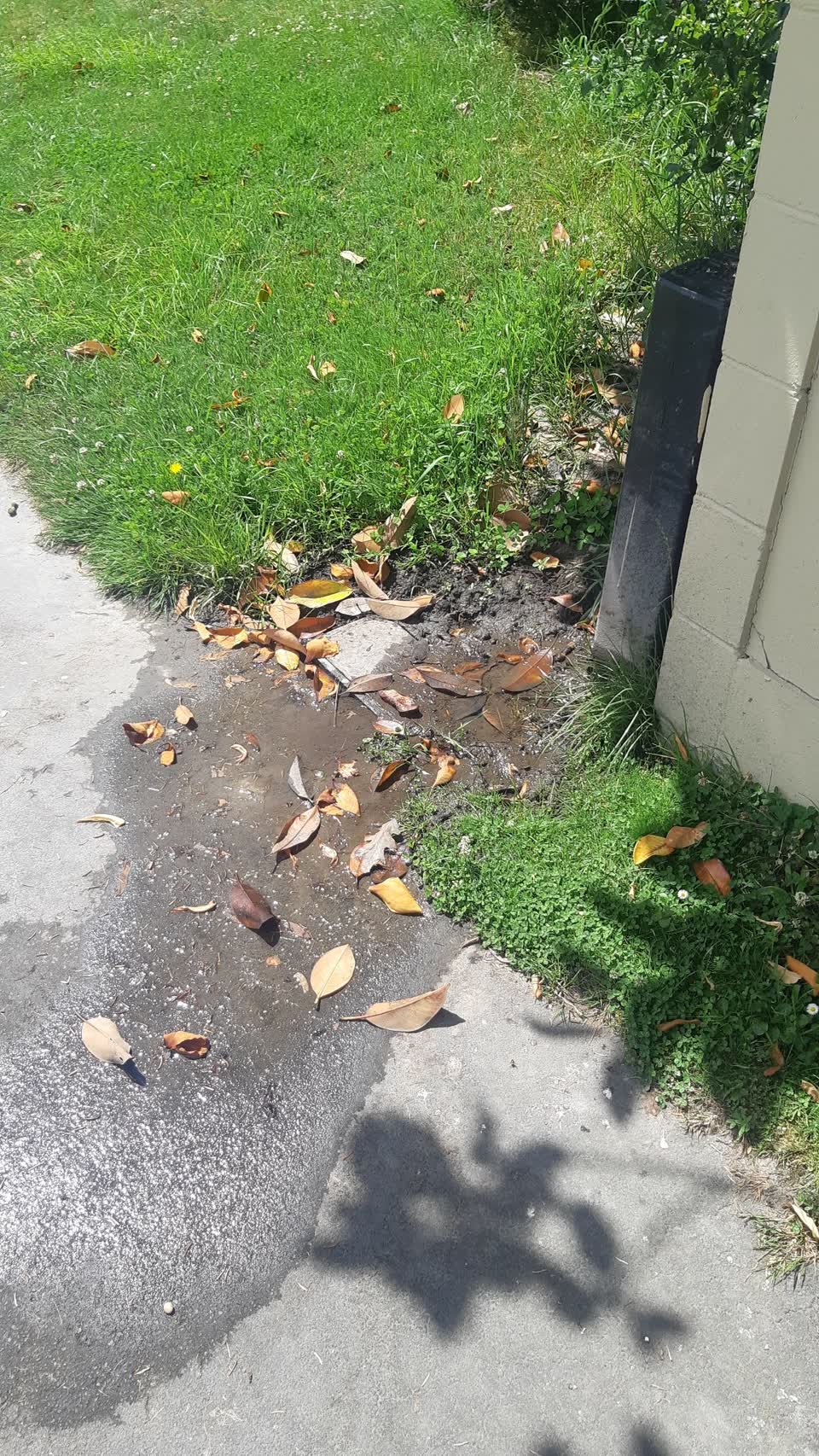 The photograph attached to this water leak report