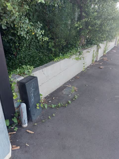 Graffiti, a report photo