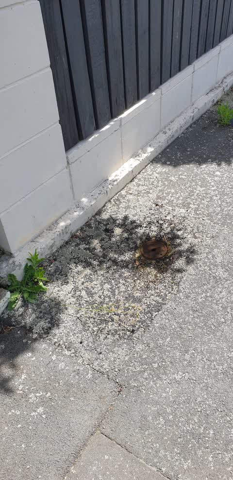 Water Leak, a report photo