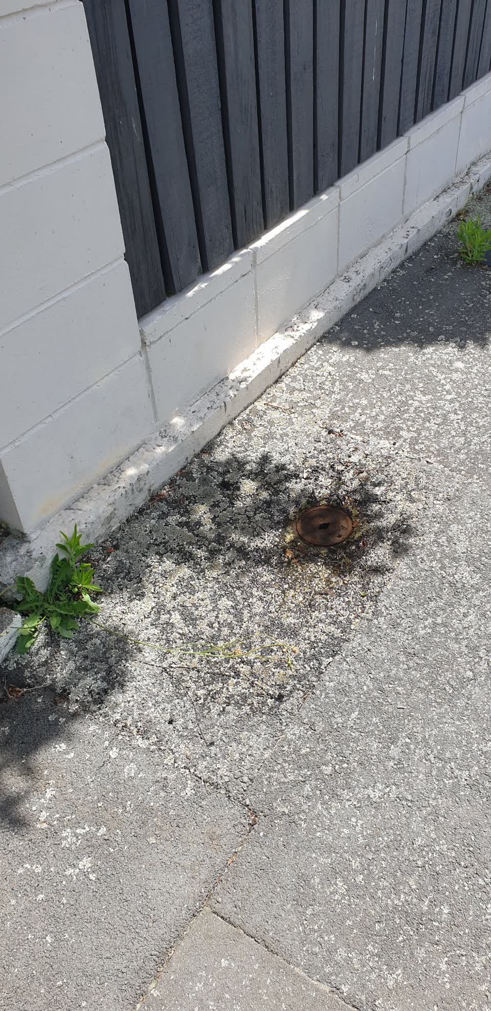 The photograph attached to this water leak report