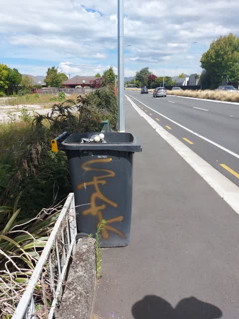 Rubbish/Recycling, a report photo