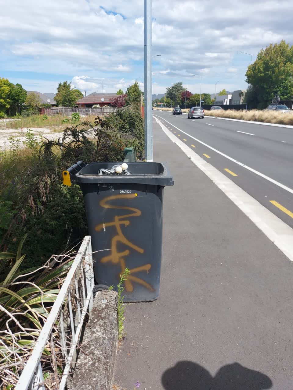 The photograph attached to this rubbish/recycling report