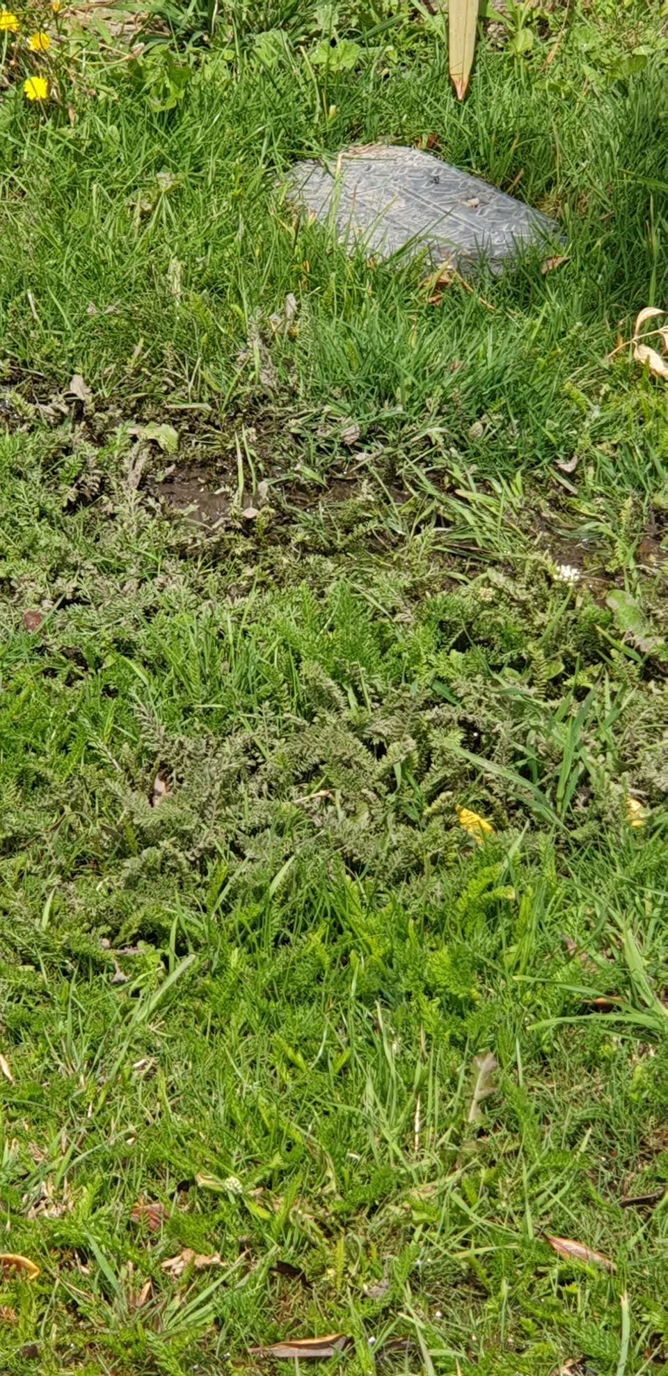 The photograph attached to this water leak report