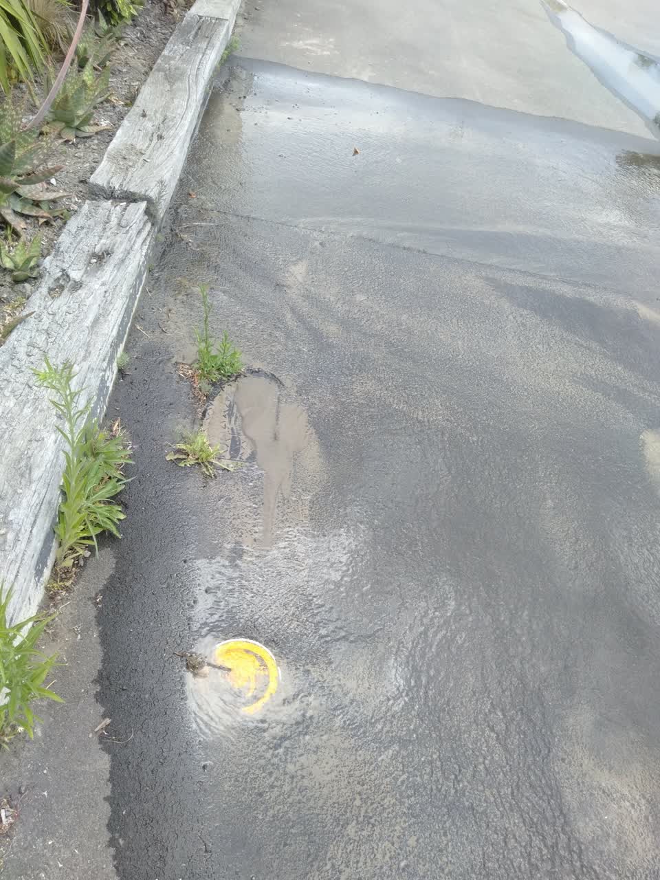 The photograph attached to this water leak report