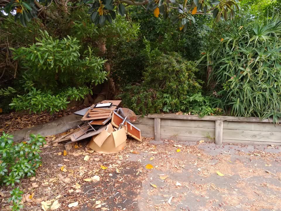 The photograph attached to this parks report
