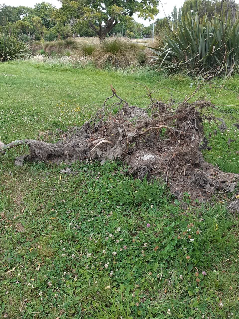 The photograph attached to this parks report