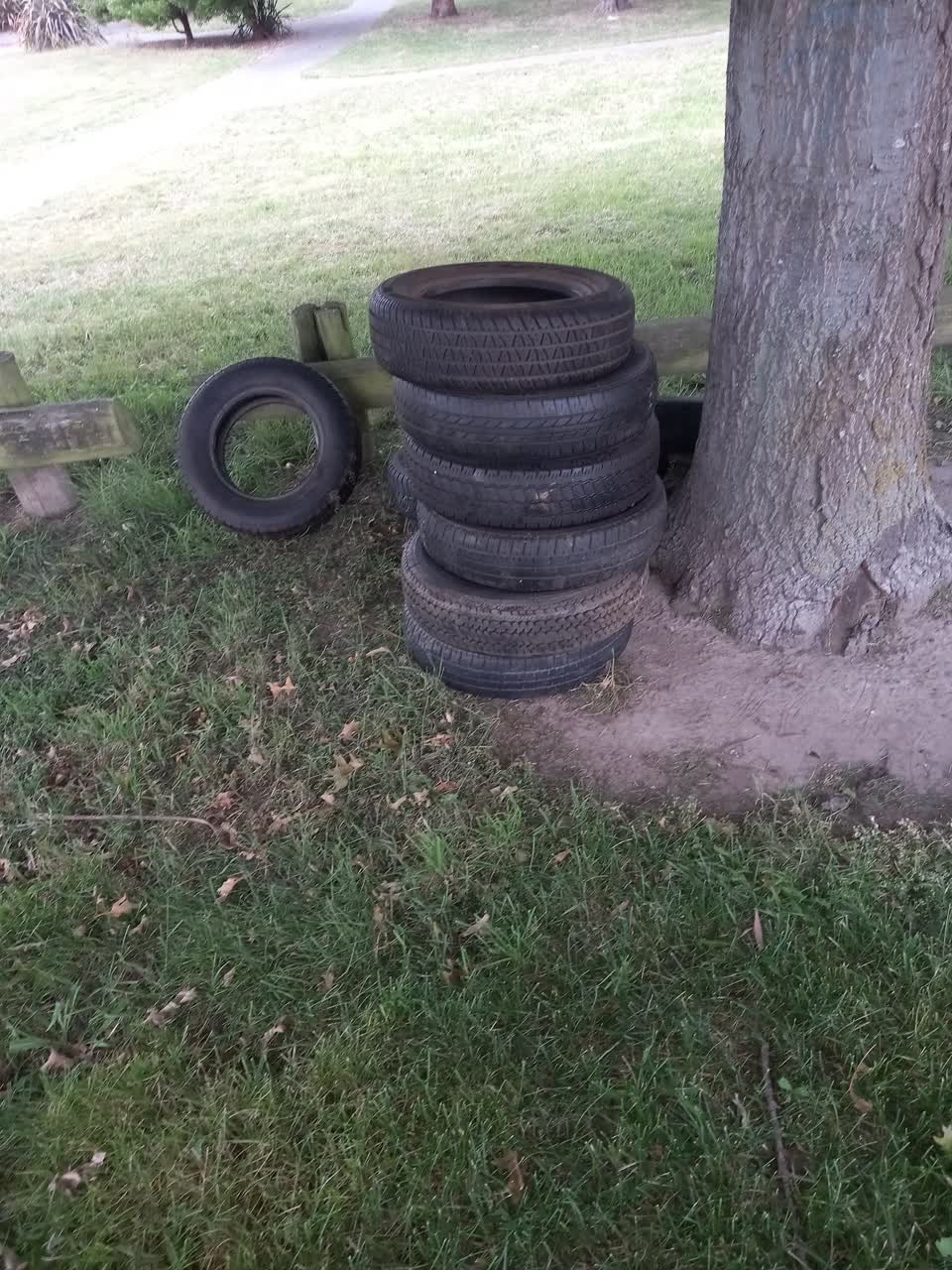 The photograph attached to this rubbish/recycling report