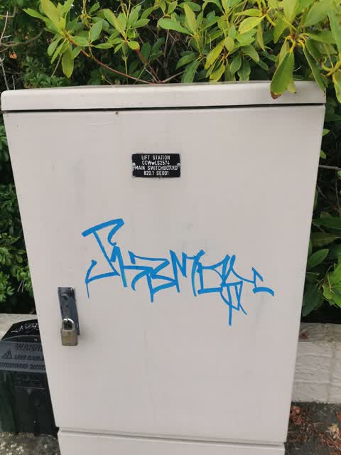 Graffiti, a report photo