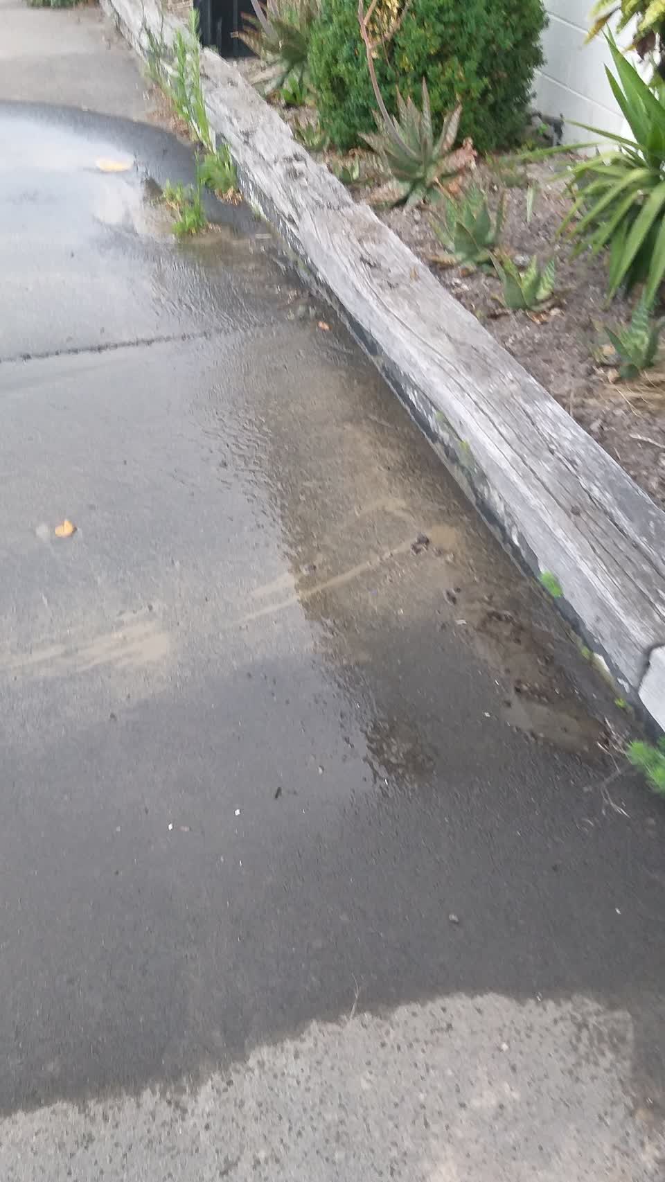 The photograph attached to this water leak report