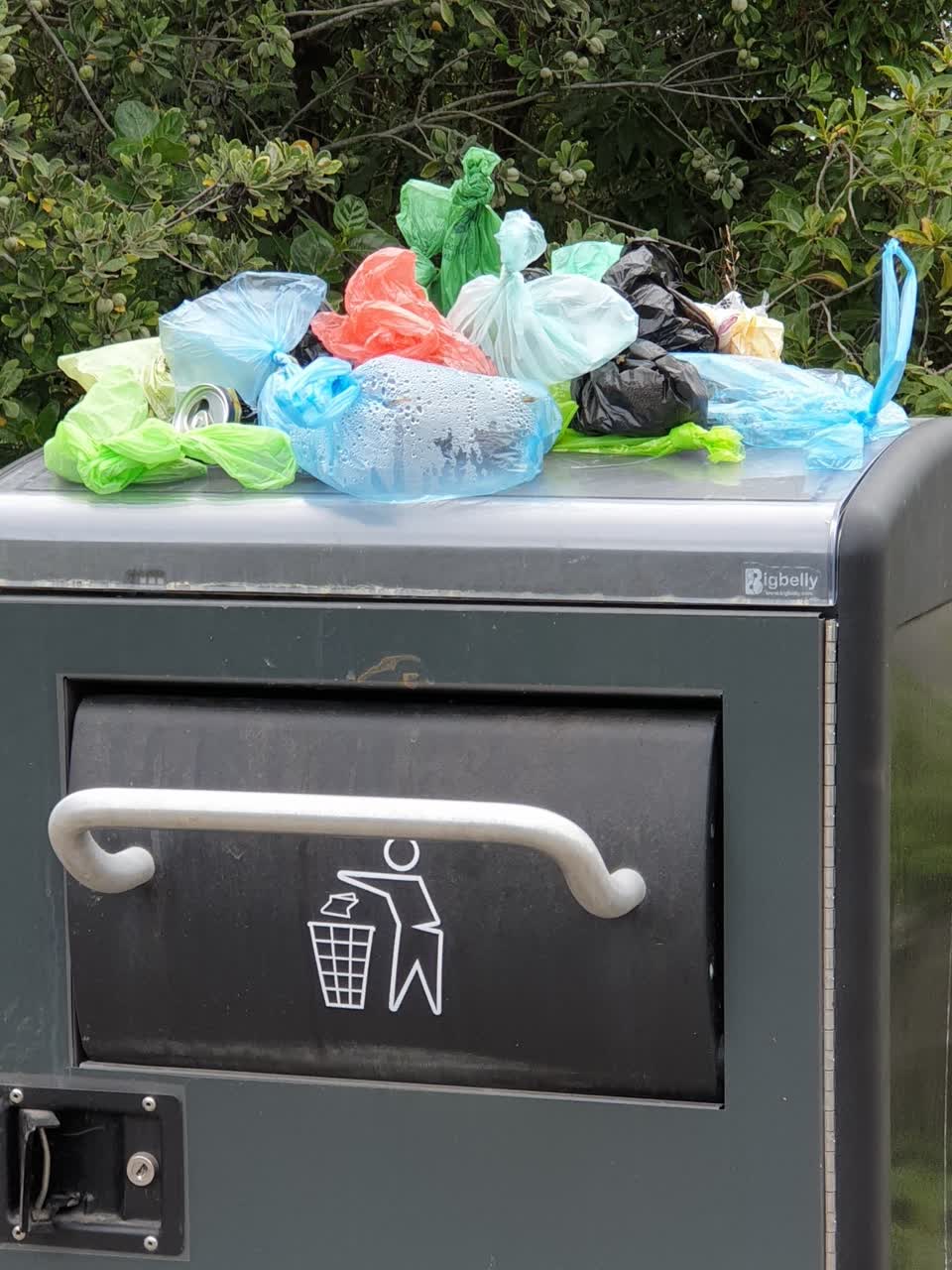 The photograph attached to this rubbish/recycling report