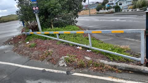 Parks — a report photo