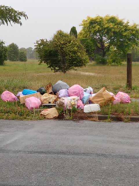 Rubbish/Recycling, a report photo