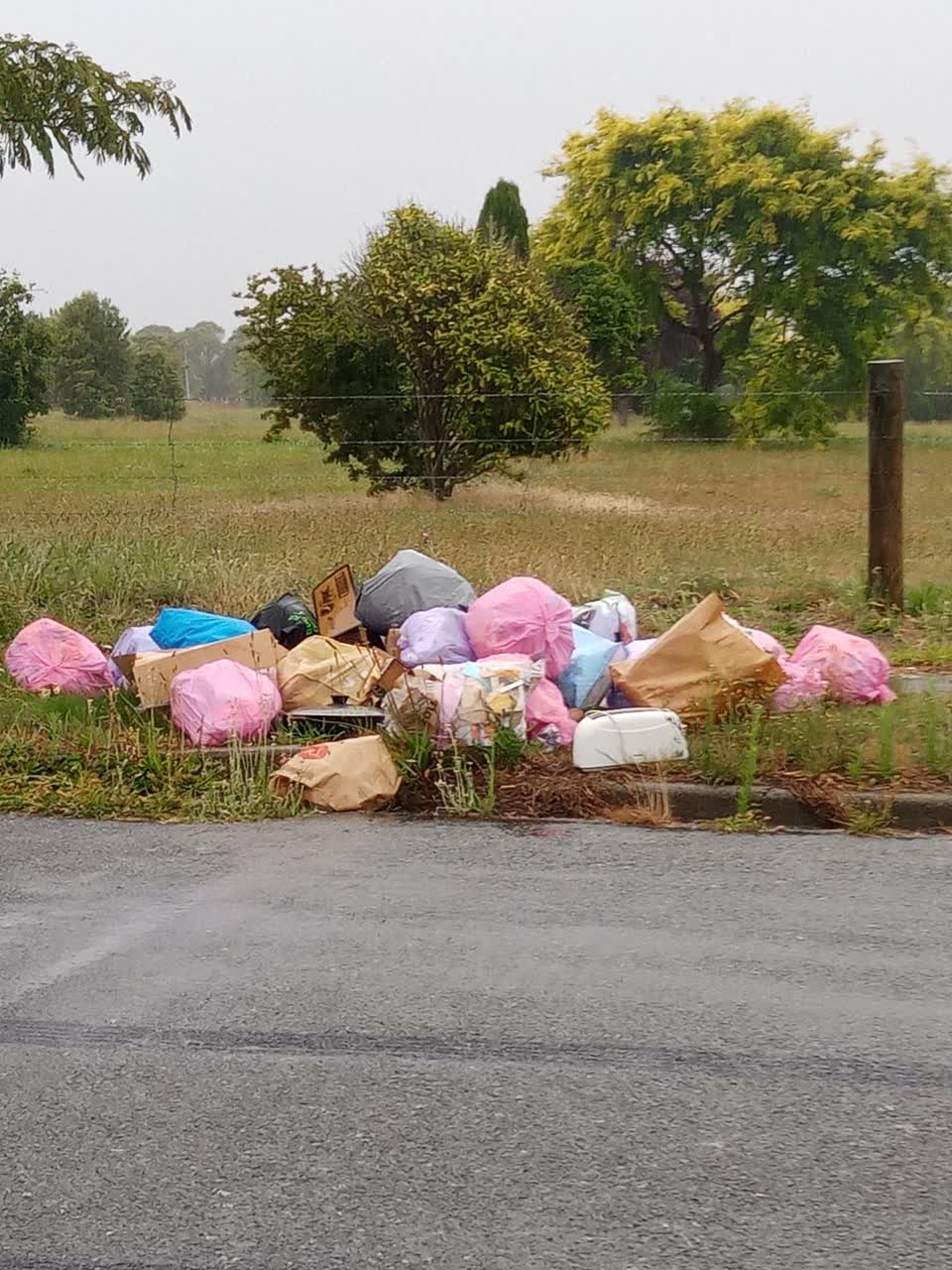 The photograph attached to this rubbish/recycling report