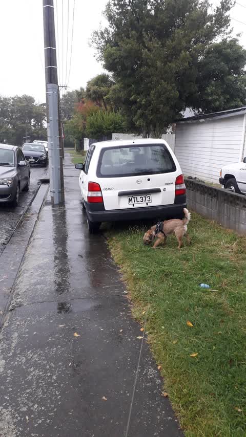 Roading/Streets, a report photo