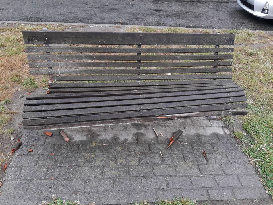 The photograph attached to this parks report