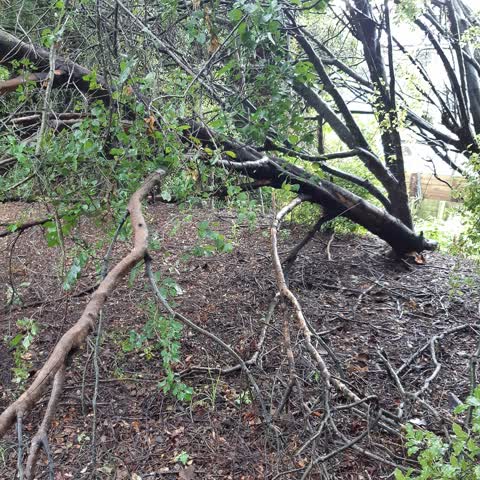 Parks, a report photo