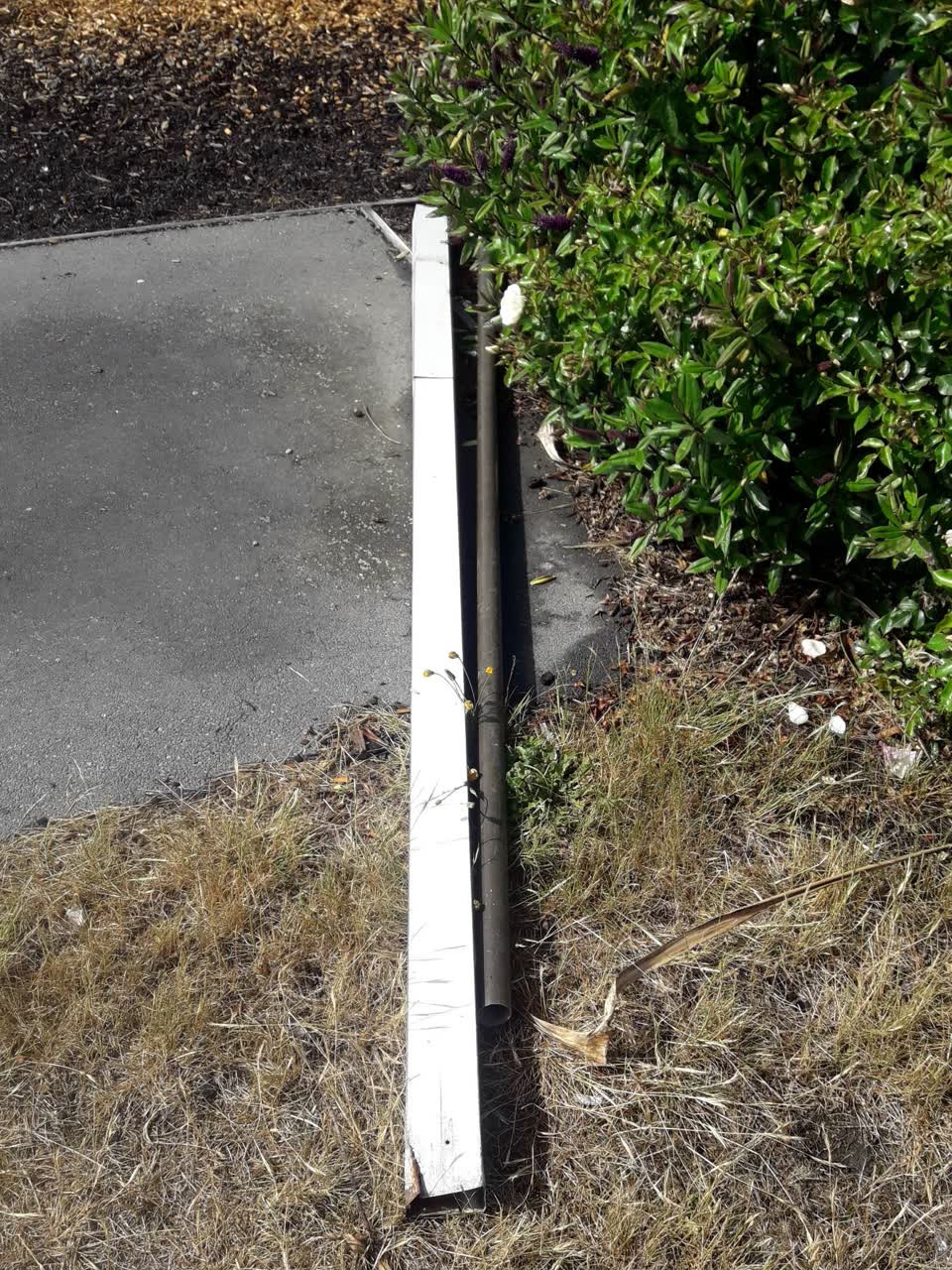 The photograph attached to this parks report