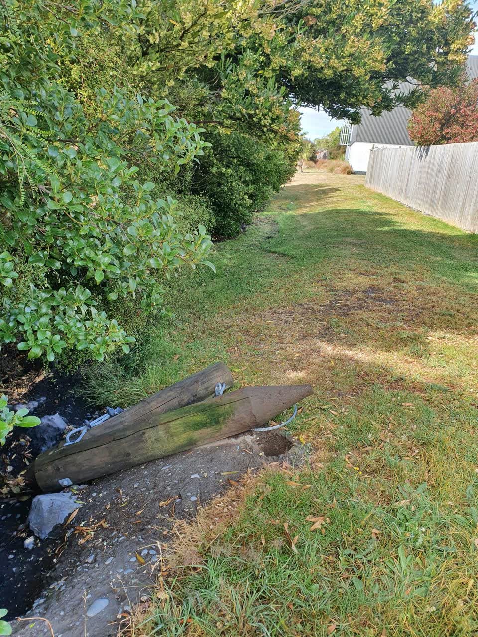 The photograph attached to this parks report