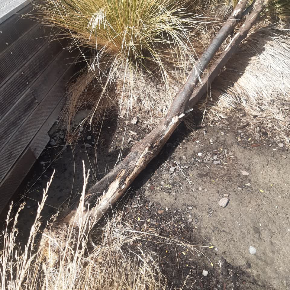 The photograph attached to this parks report
