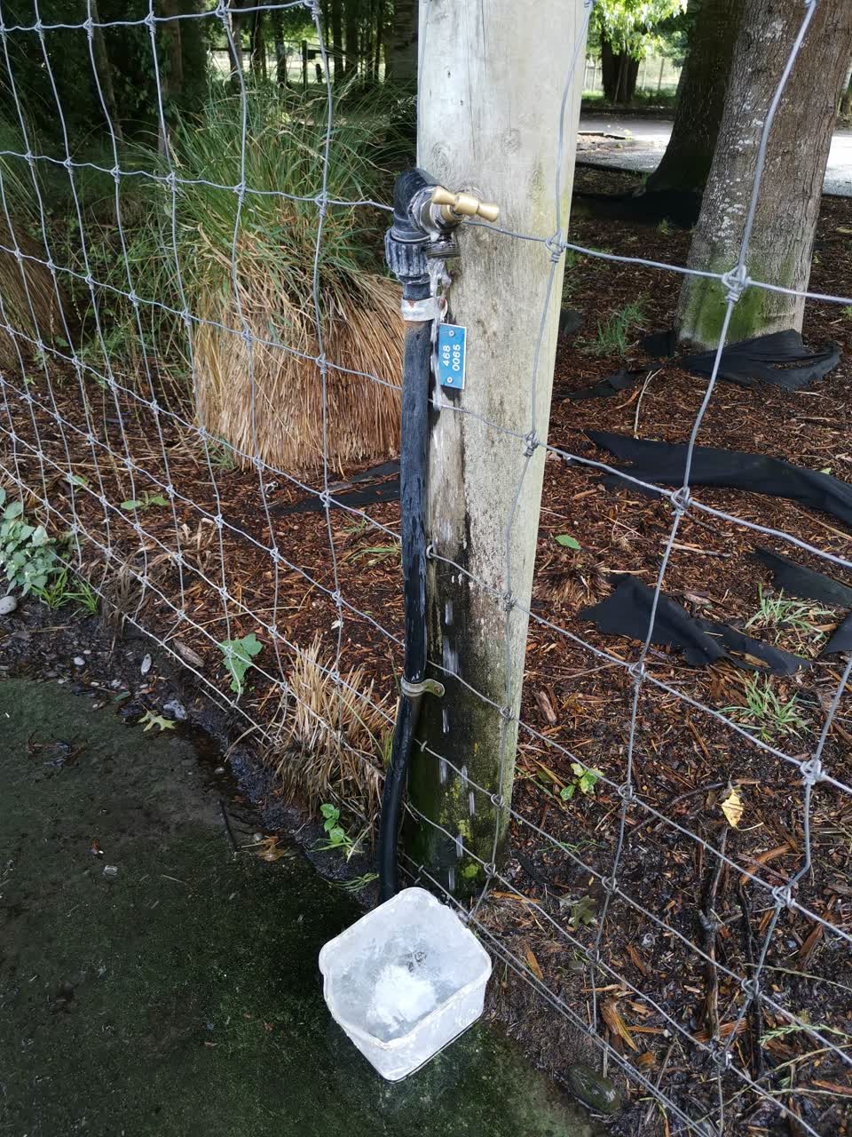 The photograph attached to this water leak report