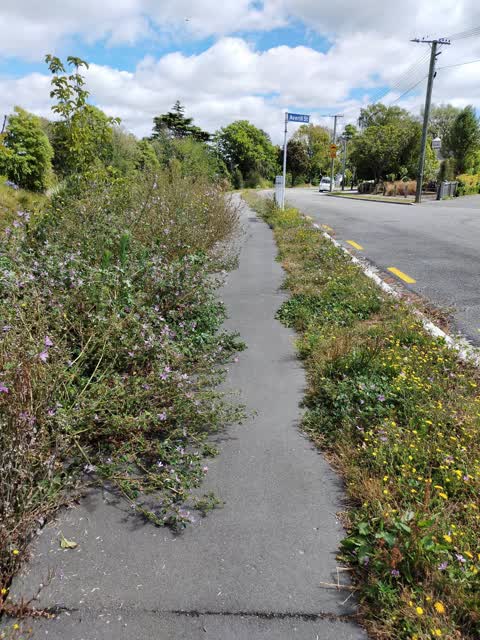 Roading/Streets, a report photo