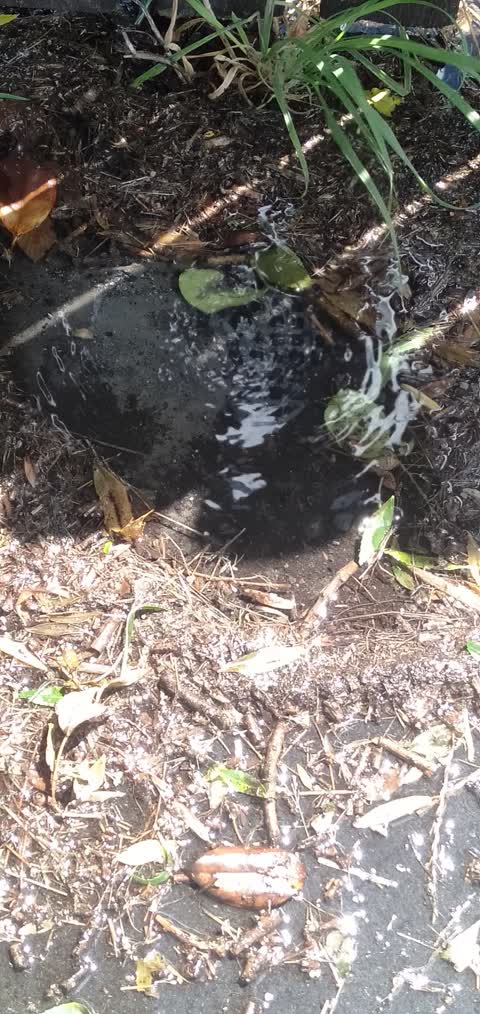 Water Leak, a report photo