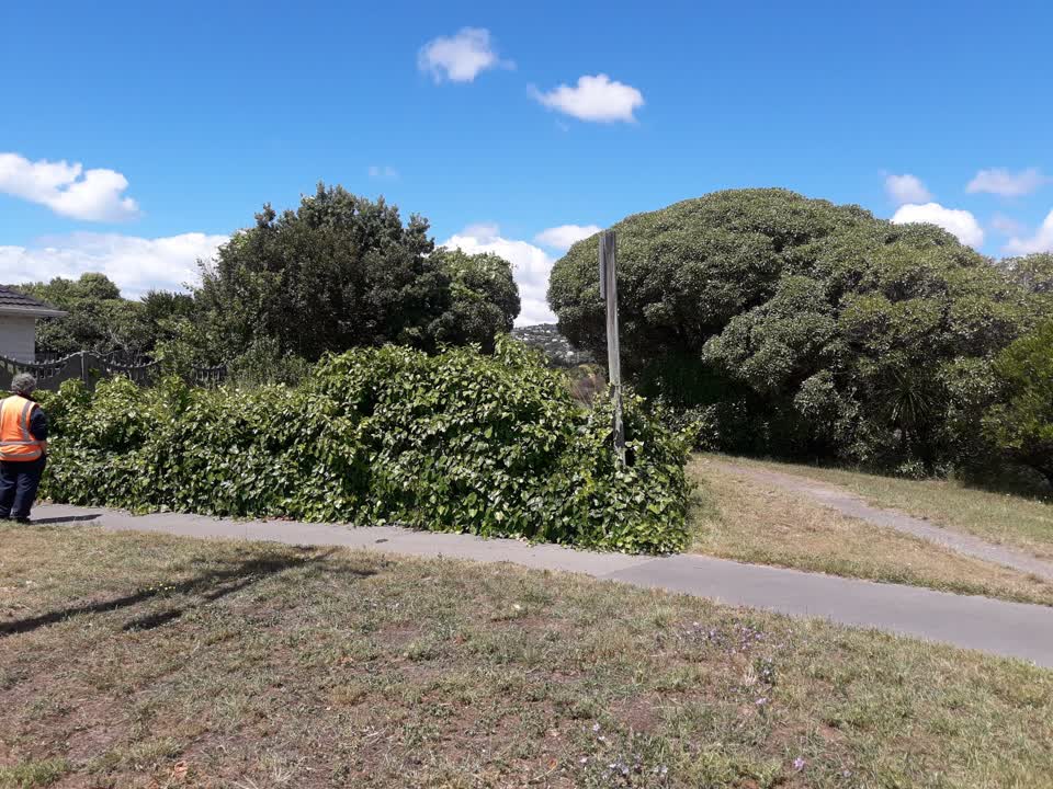 The photograph attached to this parks report