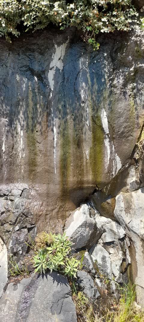Water Leak, a report photo