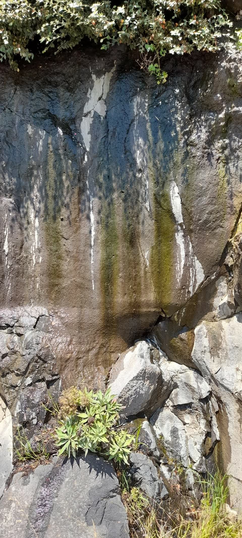 The photograph attached to this water leak report