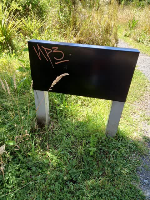 Graffiti — a report photo