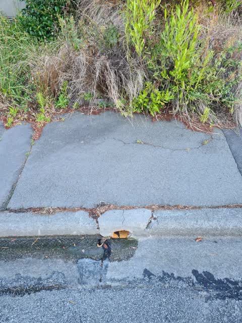 Water Leak, a report photo