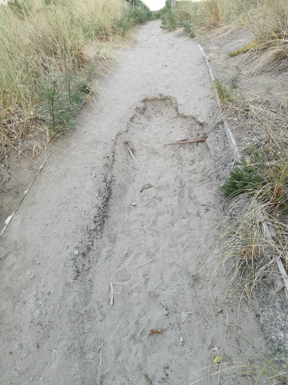 The photograph attached to this parks report