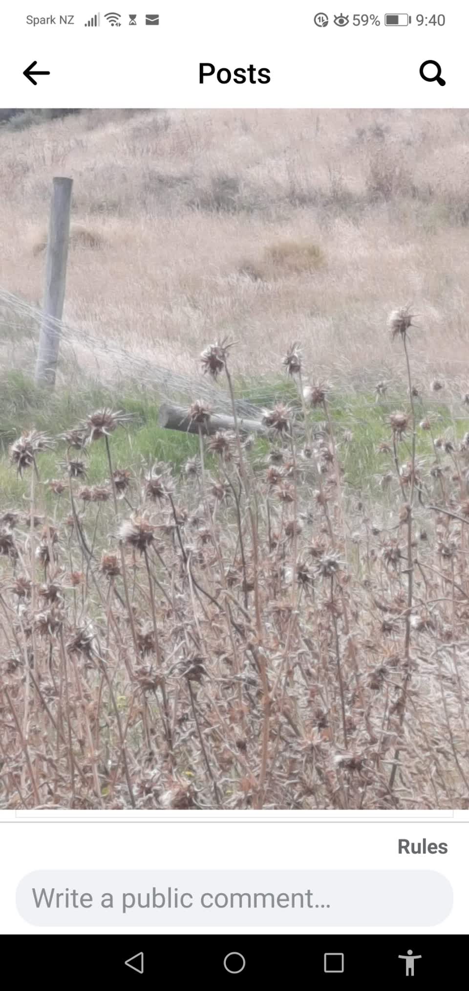 The photograph attached to this parks report