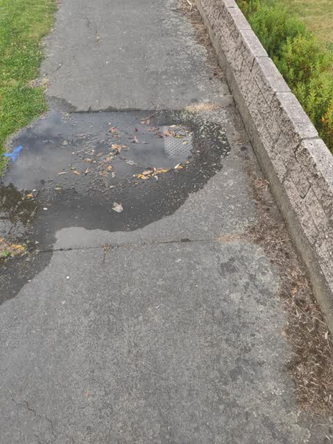 Water Leak, a report photo