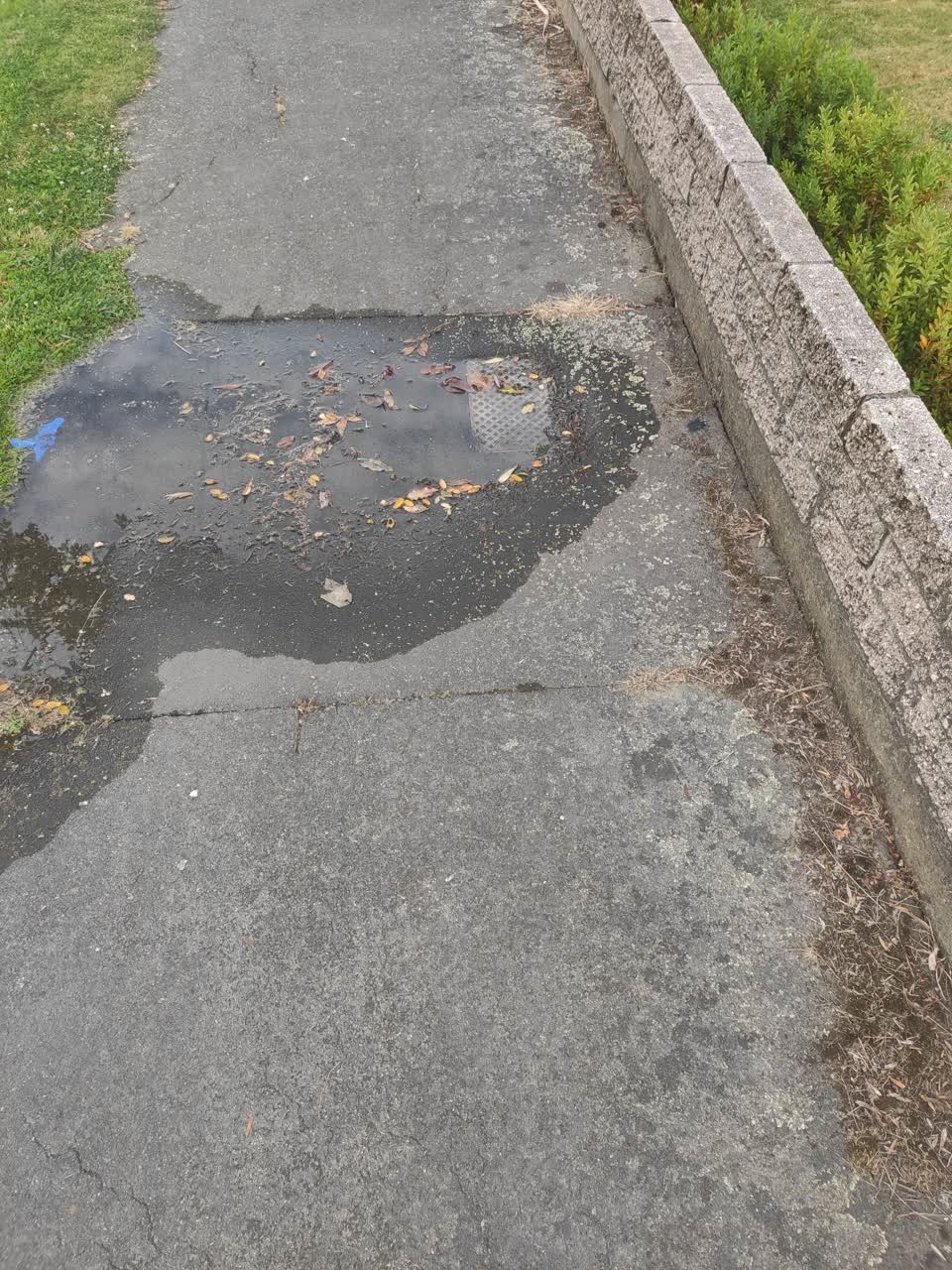 The photograph attached to this water leak report
