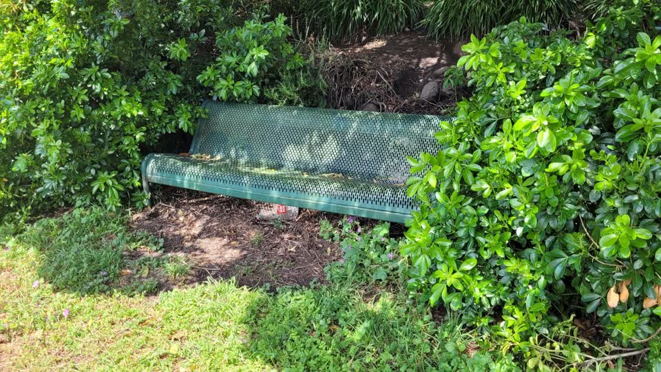 The photograph attached to this parks report
