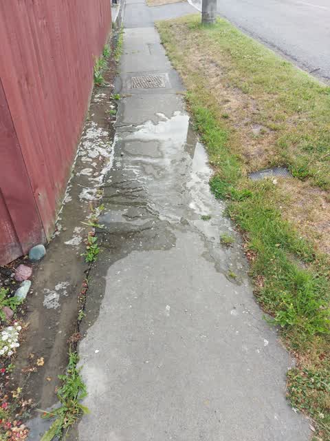 Water Leak, a report photo