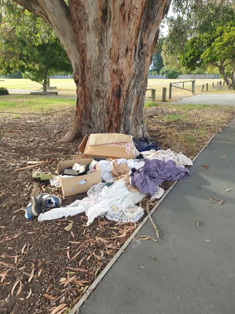 Rubbish/Recycling, a report photo