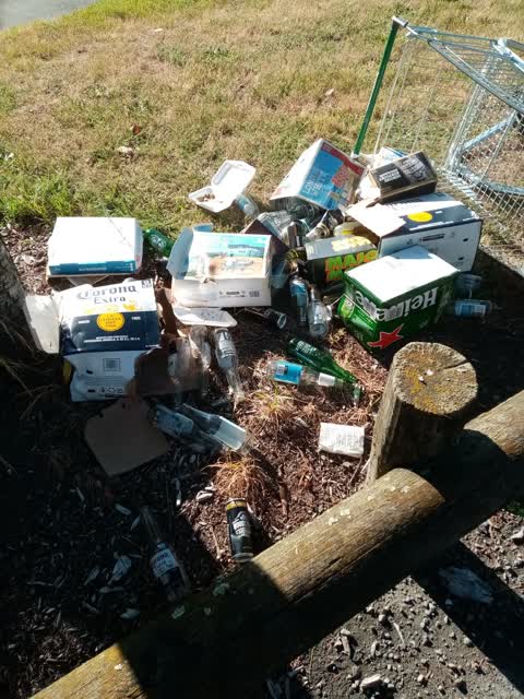 Rubbish/Recycling, a report photo