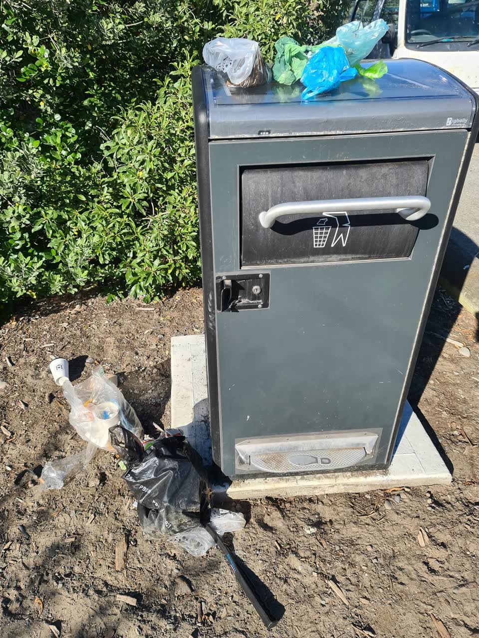 The photograph attached to this rubbish/recycling report