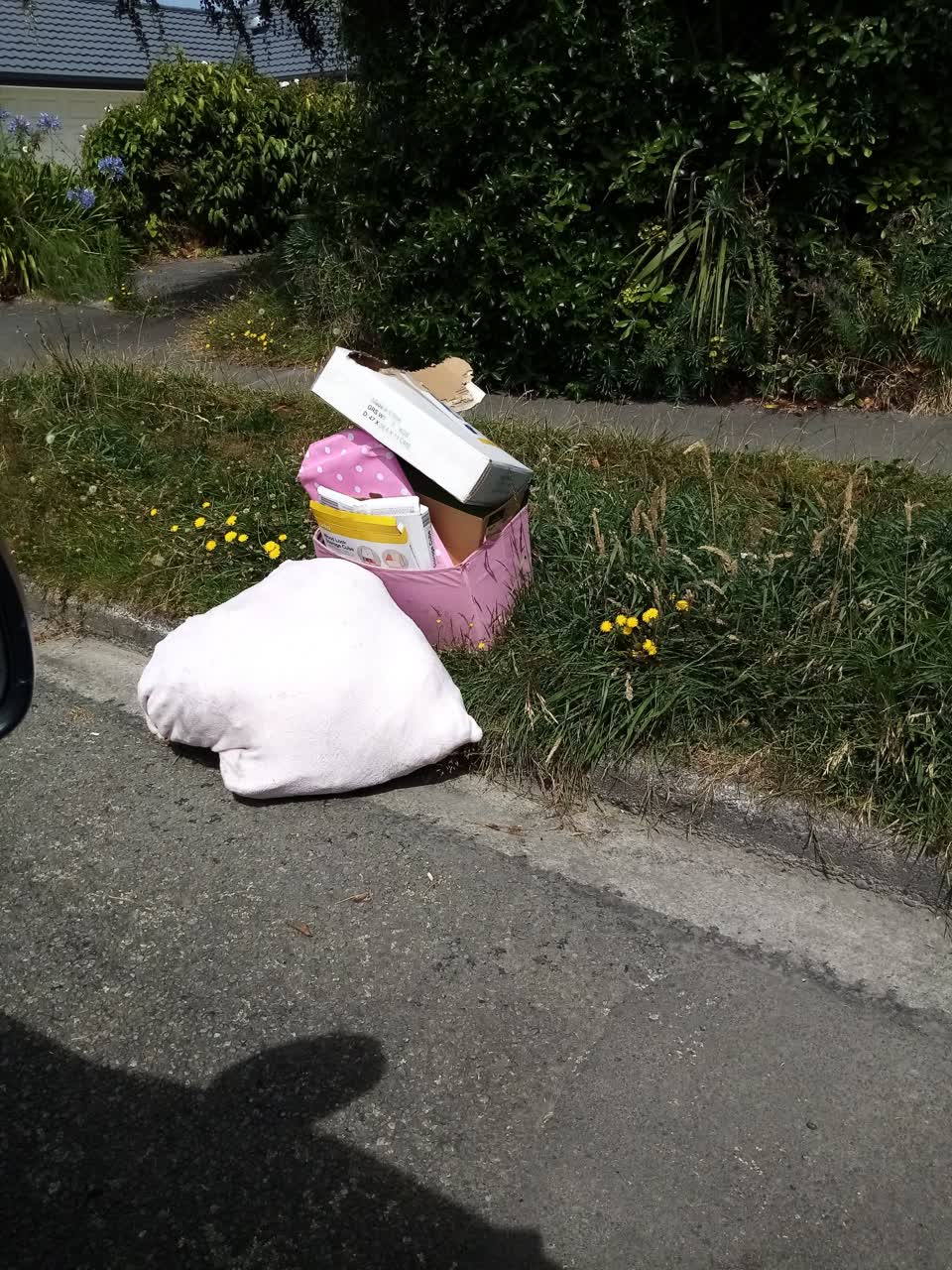 The photograph attached to this rubbish/recycling report