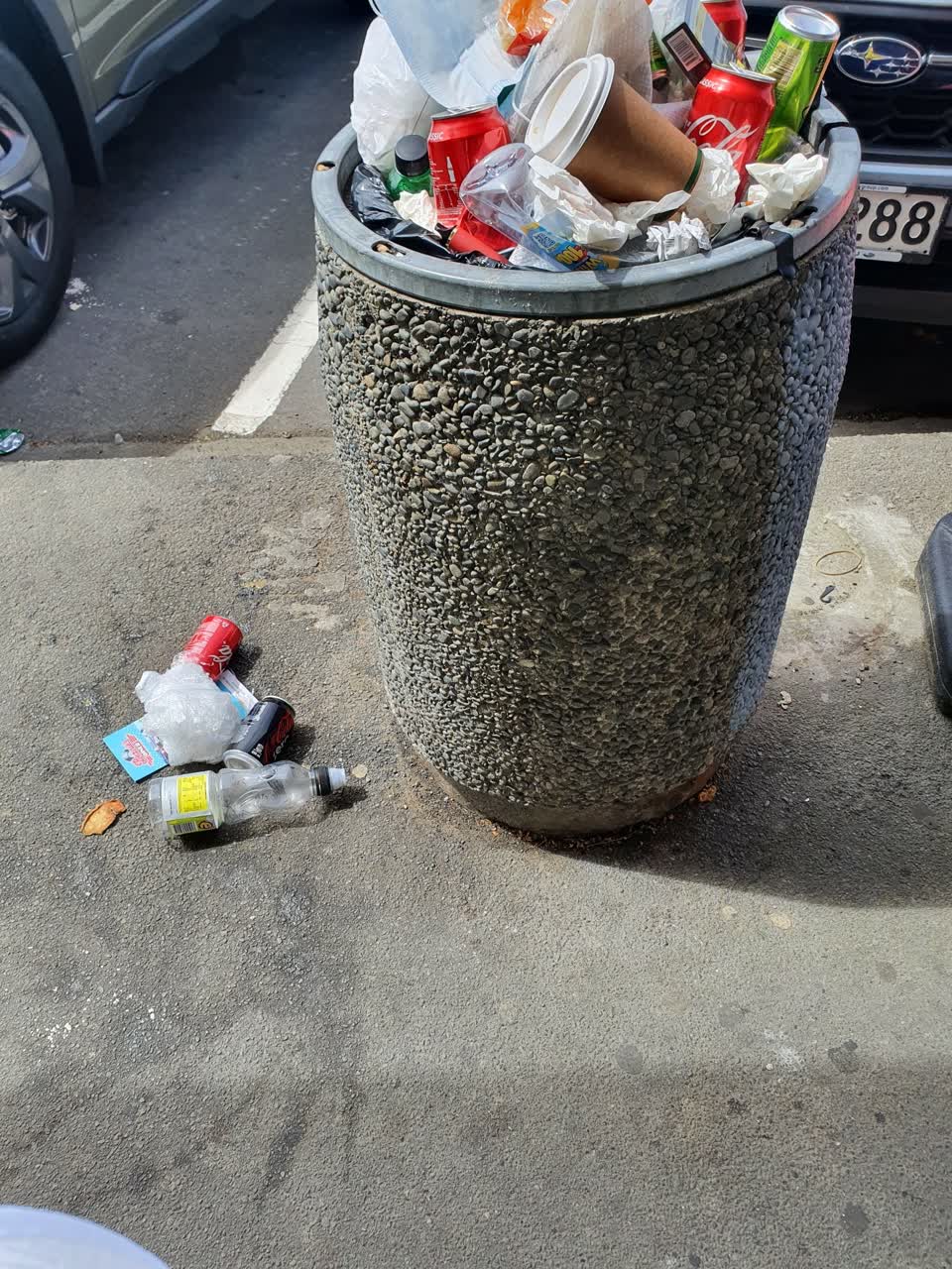 The photograph attached to this rubbish/recycling report