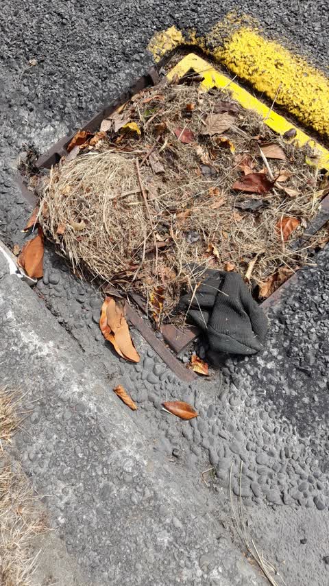Roading/Streets, a report photo