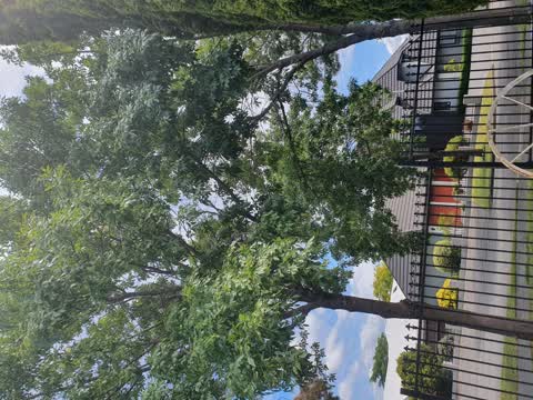 Roading/Streets, a report photo