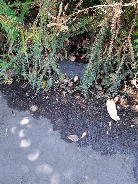 Water Leak, a report photo