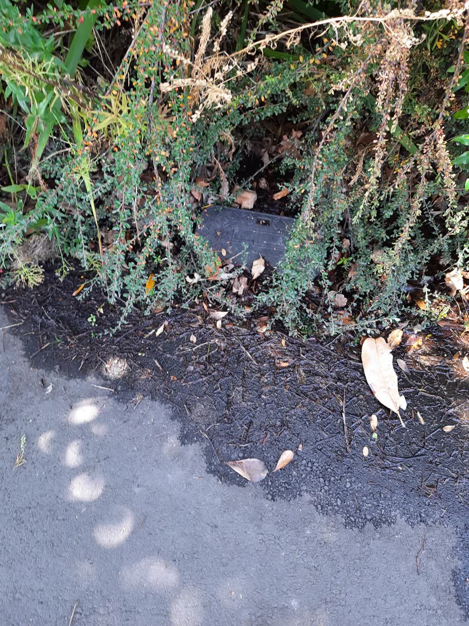 The photograph attached to this water leak report