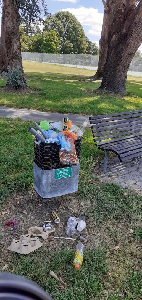 Rubbish/Recycling, a report photo