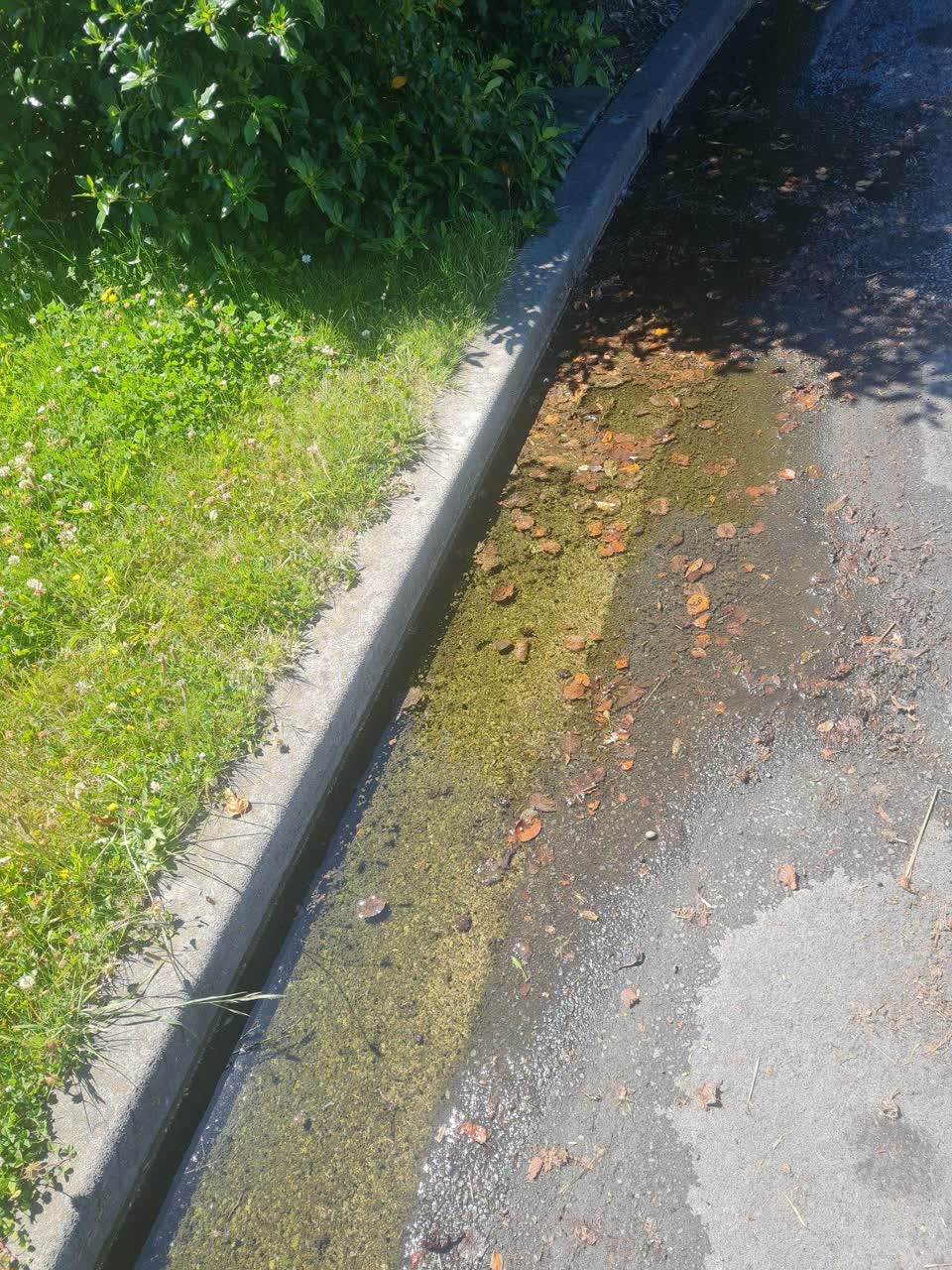 The photograph attached to this water leak report