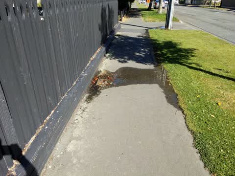 Water Leak, a report photo
